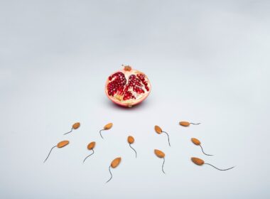red fruit with white background